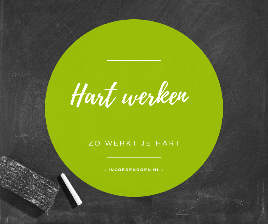 Het hart: de onvermoeibare motor van ons lichaam